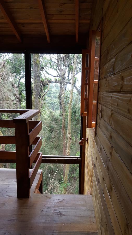 Campos do Jordão Chale Dos Tucanos- Parede De Vidro Com Linda Vista מראה חיצוני תמונה